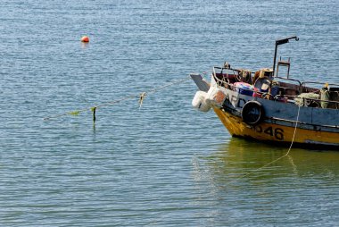 Golfo de Ancud 'daki balıkçı tekneleri - Şili' nin Göl Bölgesi 'ndeki Castro Körfezi, Chilo Adası. 16 Şubat 2014 - Castro, Şili, Güney Amerika