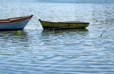 Golfo de Ancud 'daki balıkçı tekneleri - Şili' nin Göl Bölgesi 'ndeki Castro Körfezi, Chilo Adası. 16 Şubat 2014 - Castro, Şili, Güney Amerika