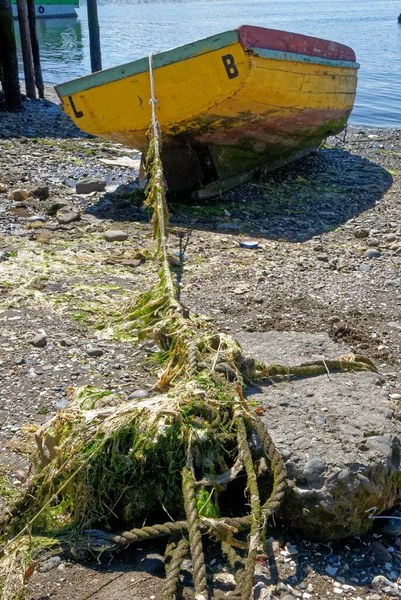 Halászhajók Golfo Ancud Castro Bay Chilei Sziget Chilei Körzetében 2014 — Stock Fotó