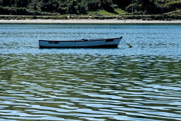 Fiskebåtar Golfo Ancud Castro Bay Chilo Island Chiles Sjödistrikt Februari — Stockfoto