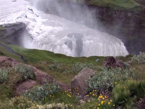 Голден Коло Ісландії Golden Falls Europe Travel Destination 2012 — стокове відео