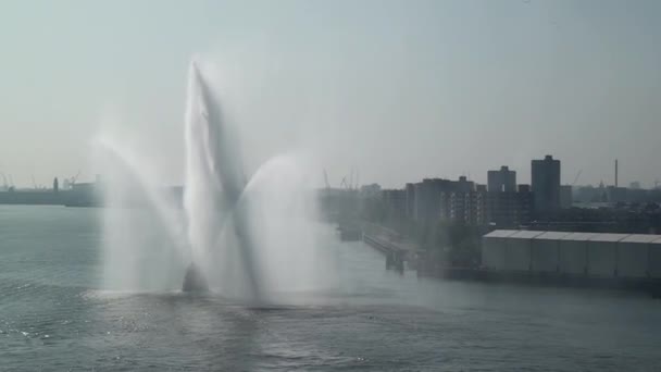 Нидерланды Роттердам Буксир Буксирующий Воду Новый Водный Путь Роттердам Судовой — стоковое видео