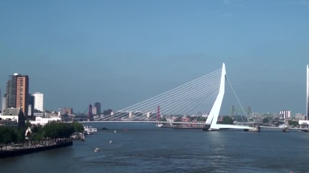 オランダ ロッテルダム タグボートスプラッシュ水 Nieuwe Waterweg New Waterwayロッテルダム オランダの運河 2012年6月21日 — ストック動画