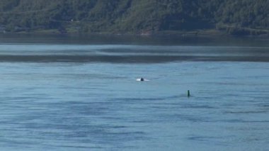 Norveç, Tromso Bölgesi, bir yaz günü Tromso limanından Norveç fiyortlarına doğru yelken açıyor. 30 Haziran 2012