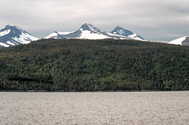 Beautiful norwegian fjord landscape in the summer time - Andalsnes - Norway. 20.06.2012