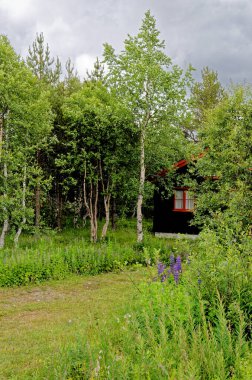 Beautiful landscape of Traditional Norwegian house - Andalsnes - Norway 12th of June 2012
