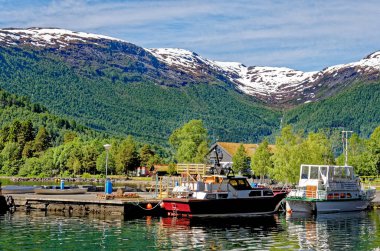 Norveç 'in güzel yaz günü manzarası - Hellesy- Norveç. Seyahat güzergahı Norveç 21.06.2012