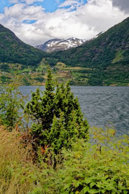 Beautiful norwegian landscape in the summer day - Geiranger - Norway. Travel destination Norway. 02.07.2012