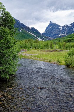 Beautiful norwegian landscape in the summer day - Geiranger - Norway. Travel destination Norway. 02.07.2012