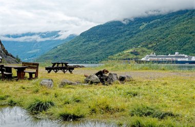 Avrupa 'nın kuzeyindeki yolculuk rotası: MS Rotterdam Norveç' teki Cruise gemisi. Flam 'deki Norveç manzarası çok güzel. 15 Temmuz 2012