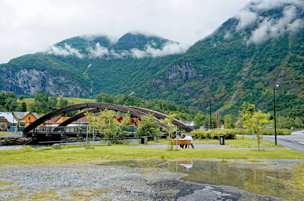 ヨーロッパの北の旅行先 フラムの風景 ノルウェーのビュー フラムでノルウェーの風景の美しい景色 2012年7月15日 — ストック写真