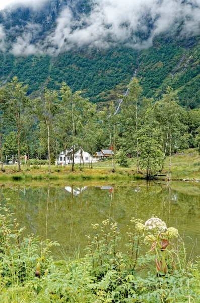 Cíl Cesty Severně Evropy Pohled Krajinu Flam Norsko Krásný Výhled — Stock fotografie