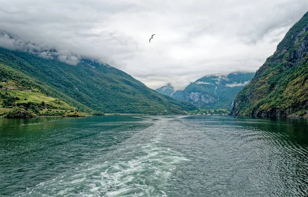 ヨーロッパの北の旅行先 ノルウェーのフラムへのアプローチでアウランズフィヨルドの景色 クルーズボート旅行からノルウェーのフィヨルドの美しい景色 2012年7月15日 — ストック写真