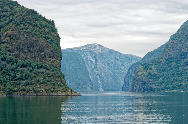 Destino Viaje Norte Europa Vista Aurlandsfjord Acercarse Flaam Noruega Hermosa —  Fotos de Stock