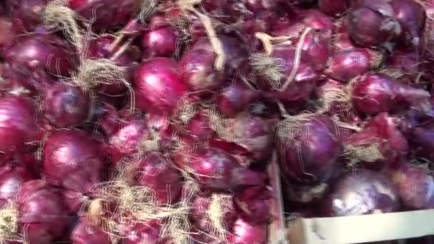 Oignons Rouges Blancs Italiens Sur Marché Des Aliments Frais Catane — Video