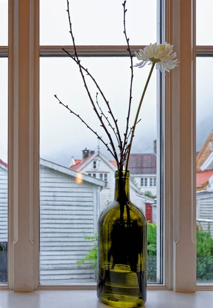 Flores Jarrón Por Ventana Casa Día Nublado Lluvioso Bergen Noruega — Foto de Stock