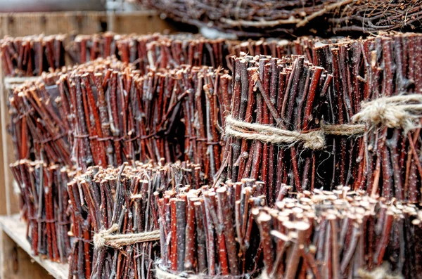 Ramitas Madera Atadas Con Una Cuerda Ramas Árboles Botánicos Decoración —  Fotos de Stock