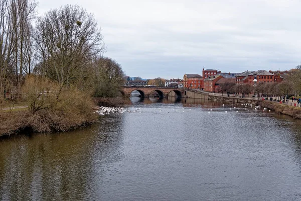 Ngiltere Worcester Daki Severn Nehri Üzerindeki Kuğu Sığınağı Ocak 2023 — Stok fotoğraf