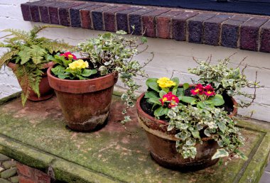 Rustic garden pot in rural village - garden ideas and small garden design