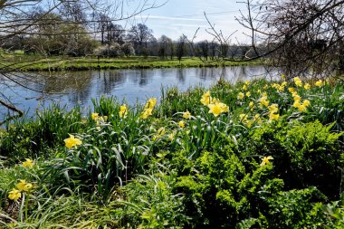İngiltere 'nin güneyindeki Salisbury yakınlarındaki Yukarı Woodford' da Avon Nehri (Bristol Avon) ile İngiliz bahar manzarası