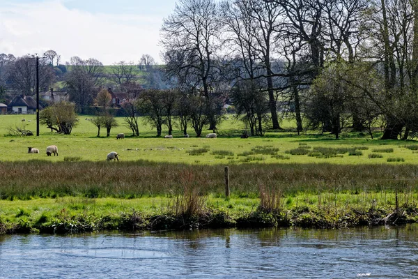 English Spring Landscape River Avon Bristol Avon Upper Woodford Salisbury — Stock Fotó