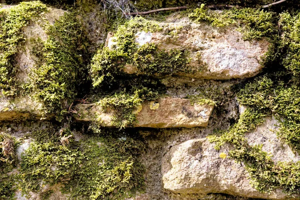 Albañilería Con Diferentes Tipos Roca Primer Plano Ladrillos Como Parte — Foto de Stock