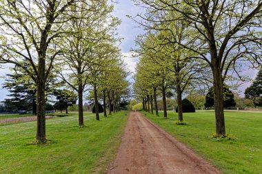 Güzel bahar manzarası - Kamu parkının kırsal kesiminin bahar manzarası - İngiliz manzarası