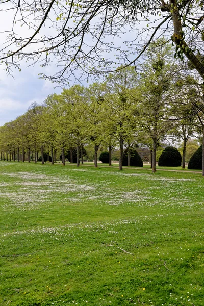 美丽的春天风景 公园郊区的春天风景 英国风景 — 图库照片