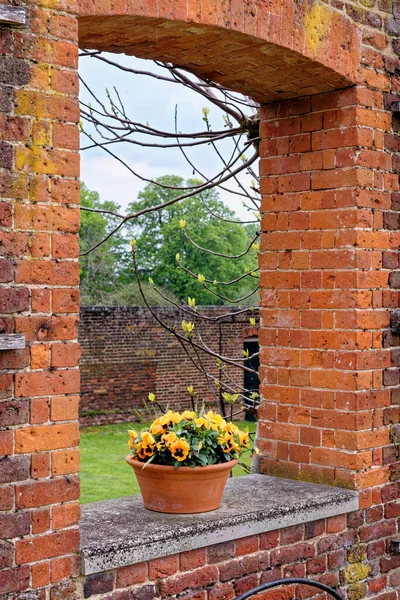 园林装饰理念 春天美丽的英式花园 — 图库照片
