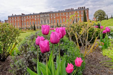 Hampton Court Palace 'ın resmi bahçeleri Surrey, Londra, İngiltere, Birleşik Krallık. 22 Nisan 2023