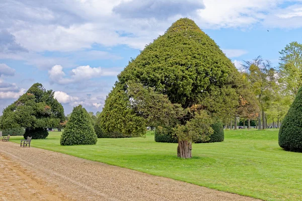 Formal Gardens Hampton Court Palace Surrey Londres Angleterre Royaume Uni — Photo