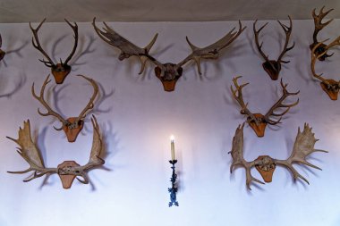 Thames, Surrey, Londra, İngiltere, İngiltere 'deki Richmond' daki Hampton Sarayı 'ndaki Kral Muhafız Odası' nda av ganimeti. 22 Nisan 2023