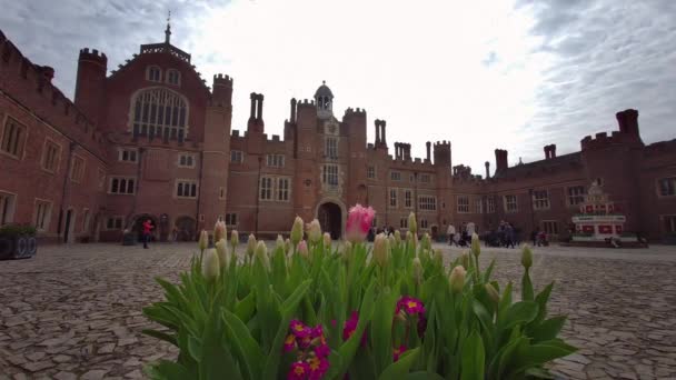 Внутрішній Сад Палаці Гемптон Корт Лондон Велика Британія Квітня 2023 — стокове відео