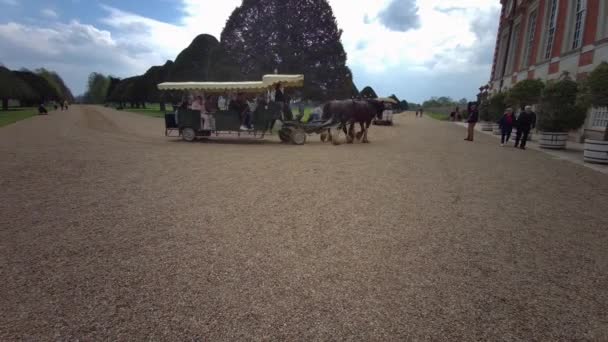 Shire Horses Pulling Tourist Carriages Hampton Court Palace Londyn Anglia — Wideo stockowe