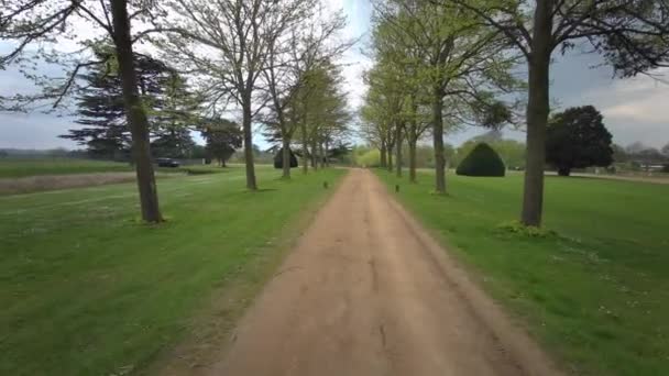 Hampton Court Palace Resmi Bahçeleri Surrey Londra Ngiltere Birleşik Krallık — Stok video