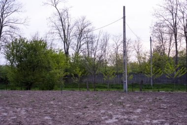 Bahar zamanı kırsal sebze bahçesi - Romanya 'nın kırsal kesimindeki bir sebze bahçesinde organik tahsis