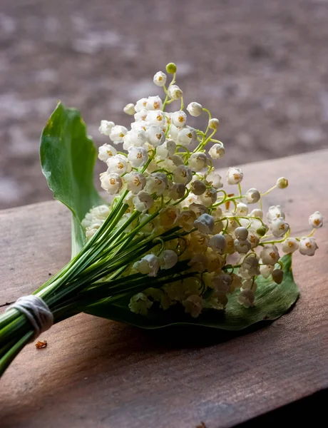 Lily of the valley bouquet - wedding or holiday background - Flowers of lily of the valley (Convallaria majalis), small white bells and leaves of lily of the valley