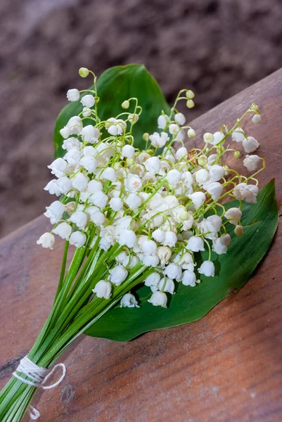 Lily Dalen Bukett Bröllop Eller Semester Bakgrund Blommor Liljekonvalj Convallaria — Stockfoto