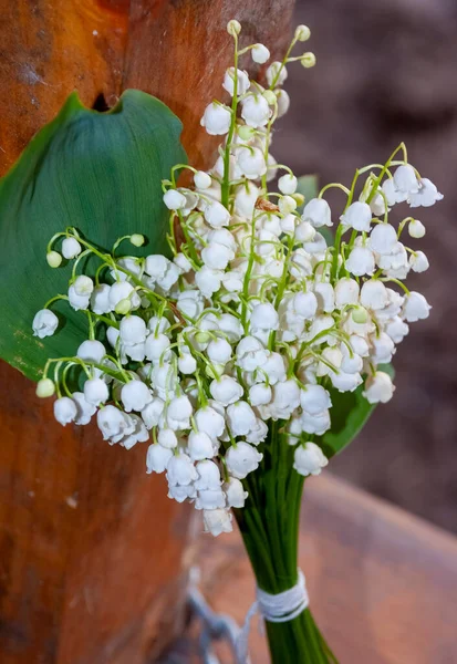 골짜기의 꽃다발 결혼식이나 골짜기의 달리아 방울들 — 스톡 사진