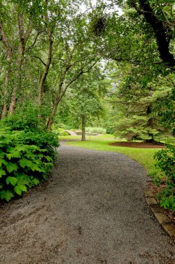 Akureyri Botanik Bahçesi (Lystigardurinn), 1912 yılında dünyanın en kuzeyindeki botanik bahçesi. Akureyri, İzlanda. 20 Temmuz 2012