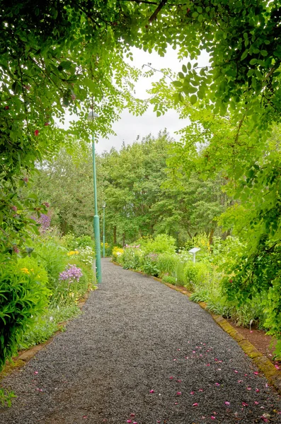Akureyri Botaniska Trädgård Lystigardurinn Den Nordligaste Botaniska Trädgården Världen Grundades — Stockfoto