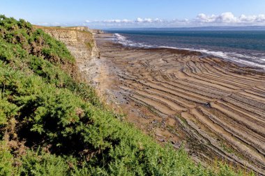 Dunraven Körfezi ve plajı, Güney Galler 'deki Glamorgan Heritage Sahili' nde çok popüler bir plaj. 25 Temmuz 2023