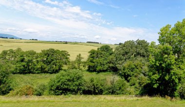 Raglan Kalesi yakınlarındaki araziler, Monmothshire, Güney Galler, Birleşik Krallık. 25 Haziran 2023