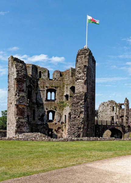 Руины Средневекового Замка Раглан Валлийский Кастелл Раглан Монмотшир Уэльс Великобритания — стоковое фото