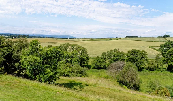 英国南威尔斯蒙莫斯郡拉格兰城堡附近田野的景观 2023年6月25日 — 图库照片