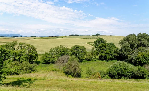 Landskap Över Fält Nära Raglan Castle Monmothshire South Wales Storbritannien — Stockfoto