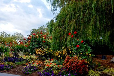 Seattle şehir merkezindeki Seattle Center 'da bir bahçe. Seattle, Washington, Amerika Birleşik Devletleri - 26 Ağustos 2010