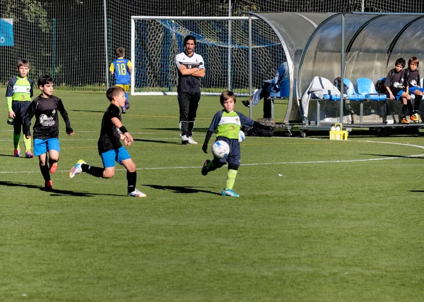 Młode Dzieci Dzieci Nastoletni Chłopcy Grający Piłkę Nożną Mecze Sportowe — Zdjęcie stockowe