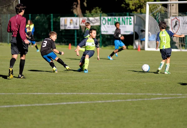 Jonge Kinderen Kinderen Tienerjongens Voetballen Alcanena Gemeente Portugal Stadion Joaquim — Stockfoto