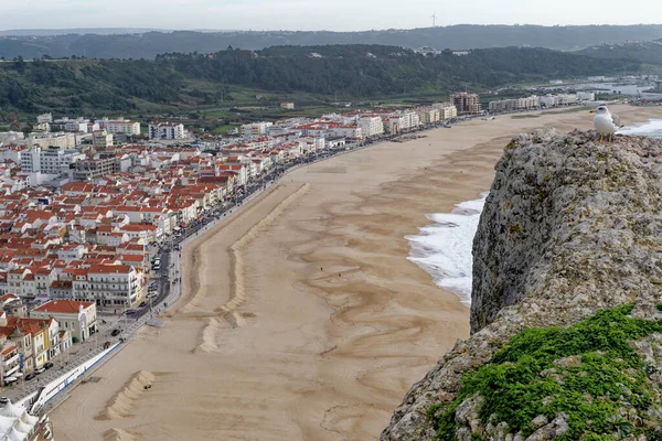 Staden Nazare Portugal Nedanför Klipporna Ovanifrån Nazisternas Stad Och Sandstrand Stockbild
